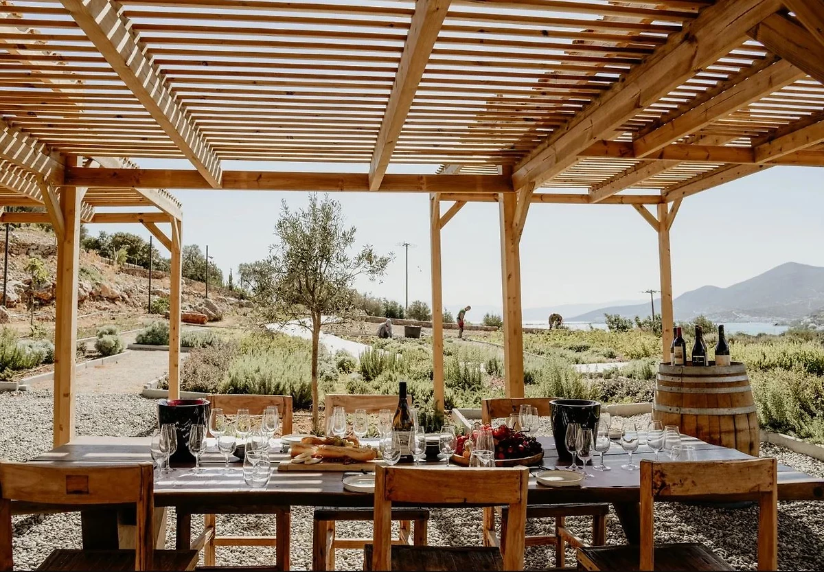 Déjeuner en plein air, Lux Villa, Domes of Elounda, Autograph Collection, Crète, Grèce
