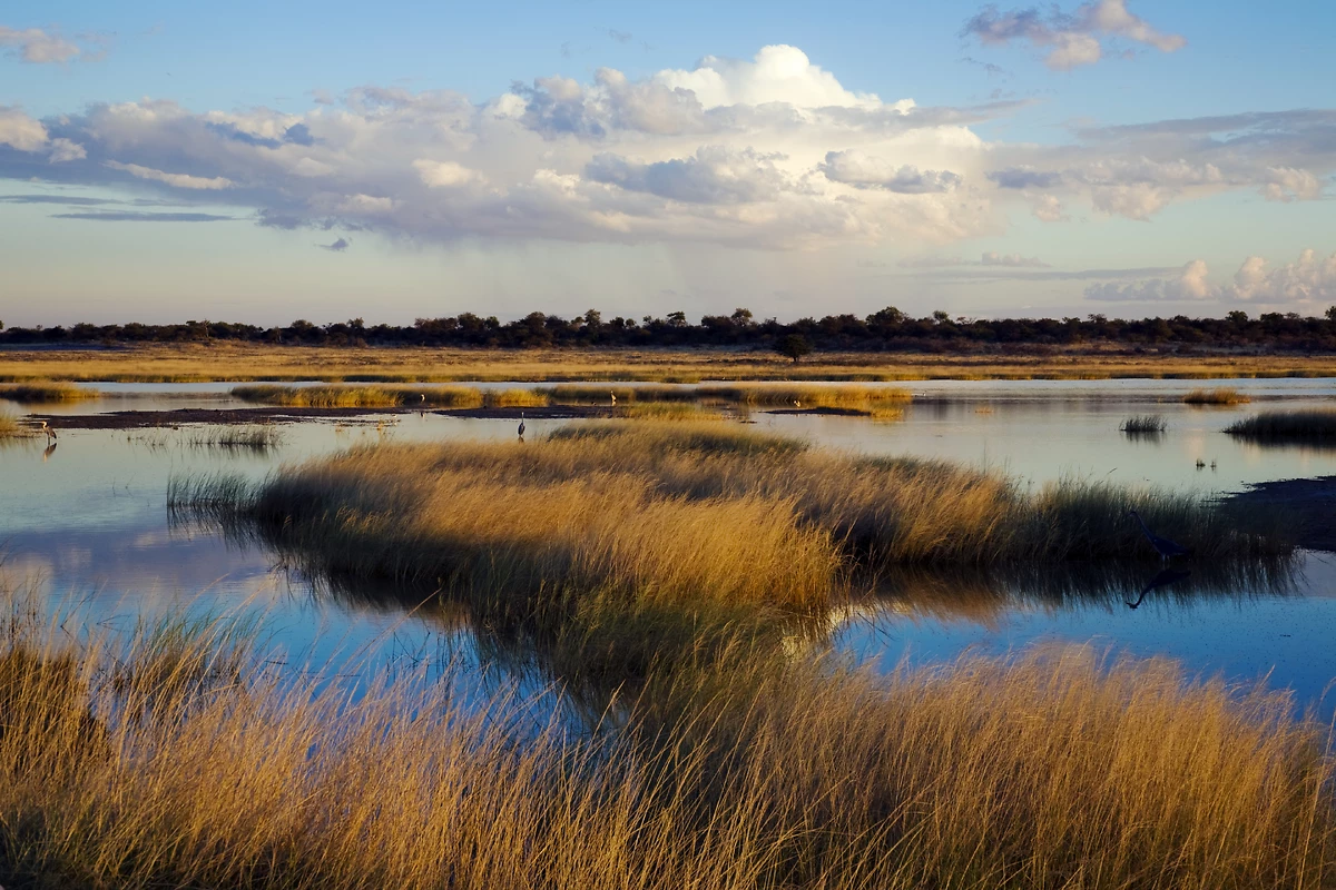 Parc national d'Etosha, Namibie