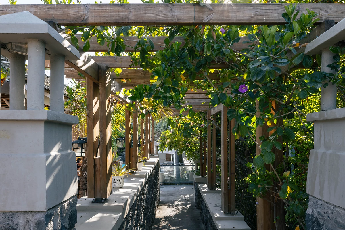 Patio, hôtel Les Créoles