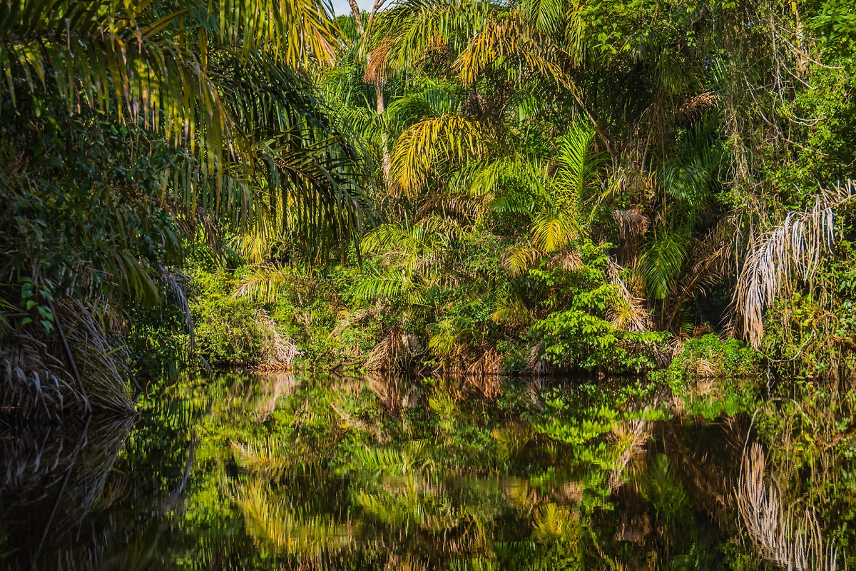 Canal, parc national de Tortuguero, Costa Rica