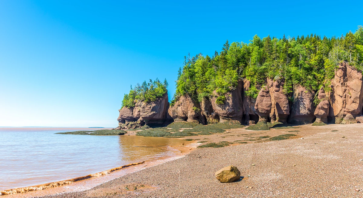 Baie de Fundy, Nouveau-Brunswic