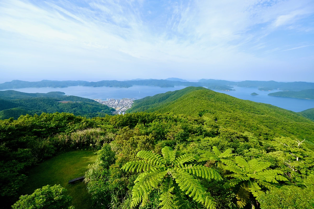 Forêt tropicale, Amami, Japon