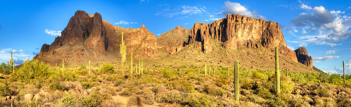 Désert De Sonora, Arizona, États-Unis
