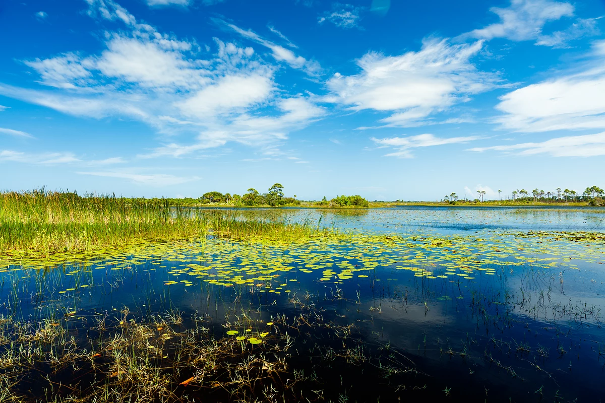 Parc national des Everglades, Floride, États-Unis