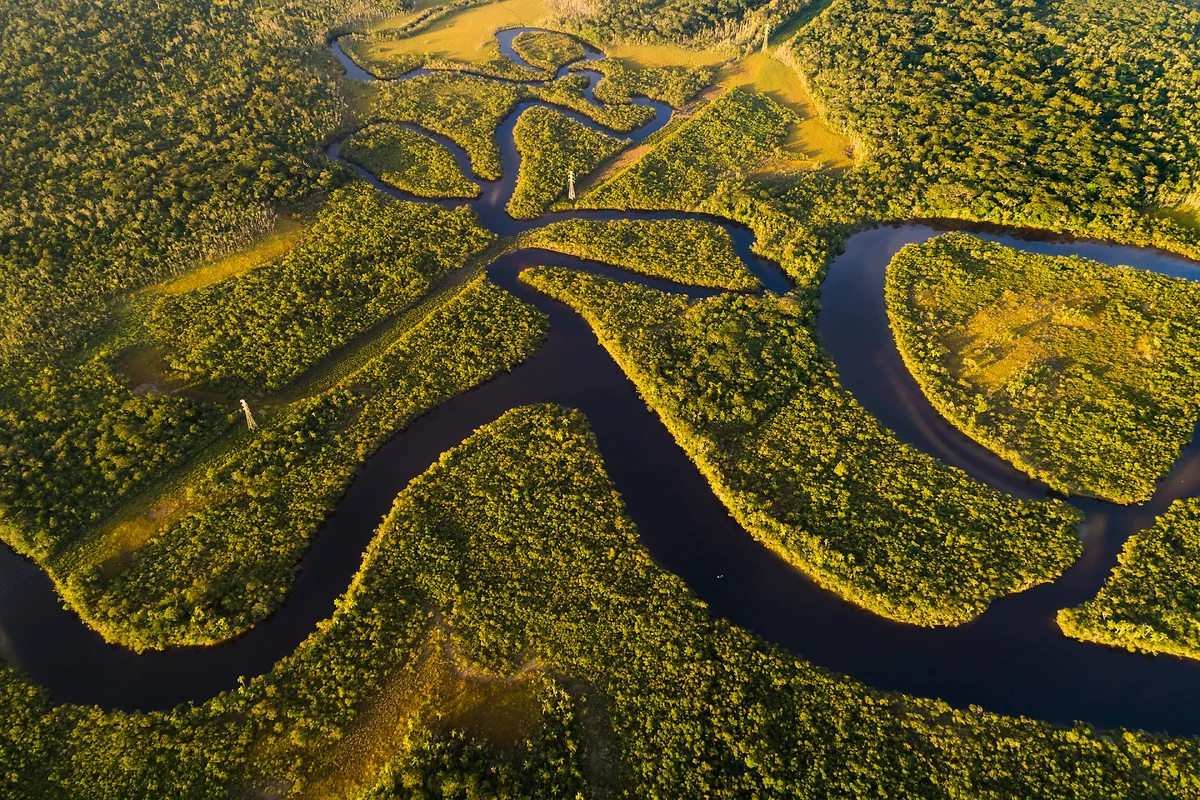 La forêt amazonienne, Brésil