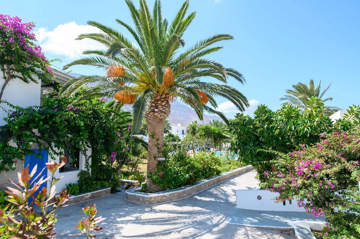 Grèce : Lakki Village