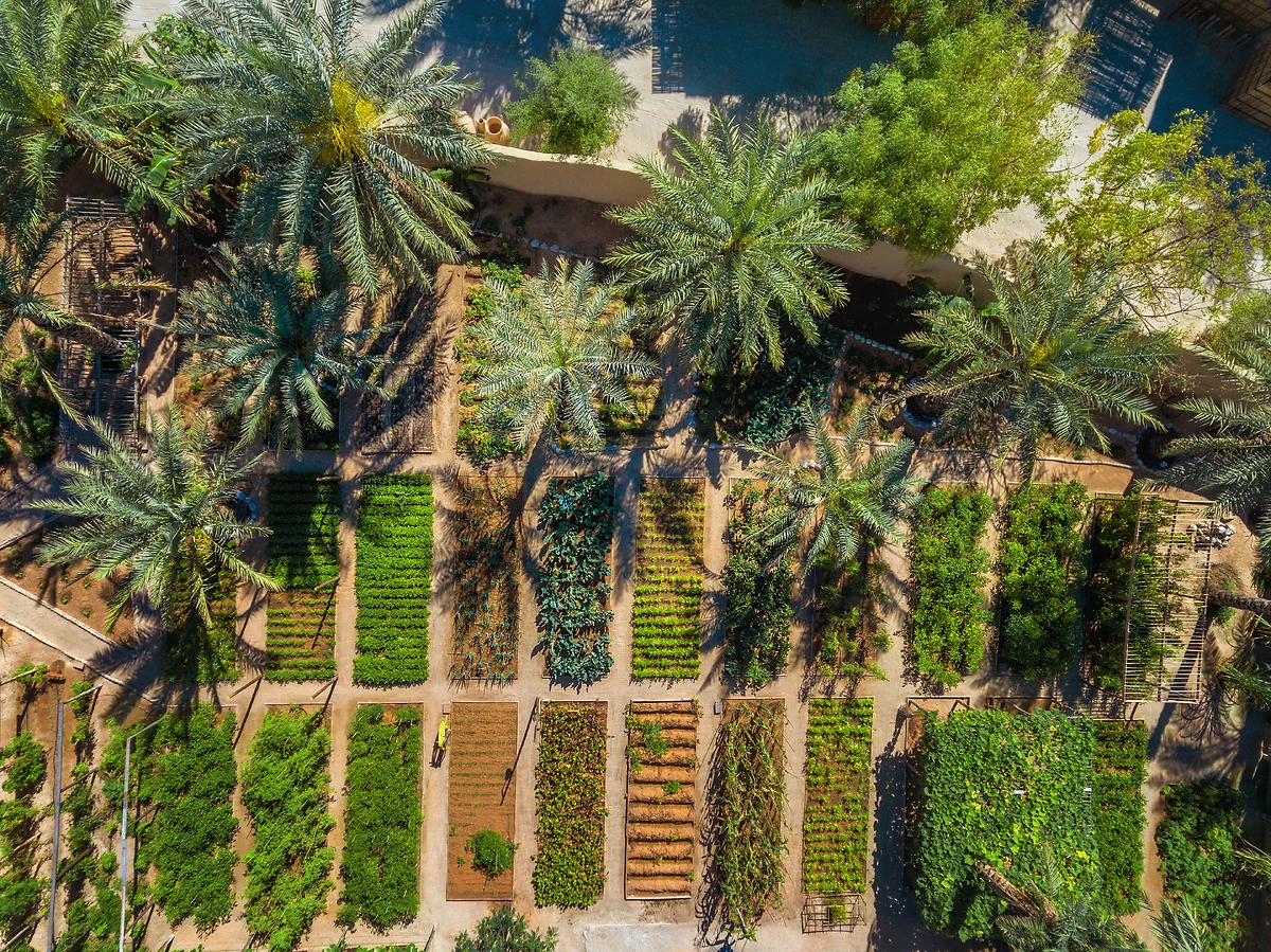 Vue aérienne des jardins de l'hôtel, Six Senses Zighy Bay