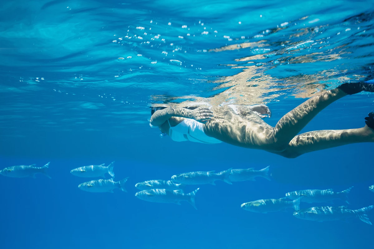 Activité de plongée, Raffles Seychelles
