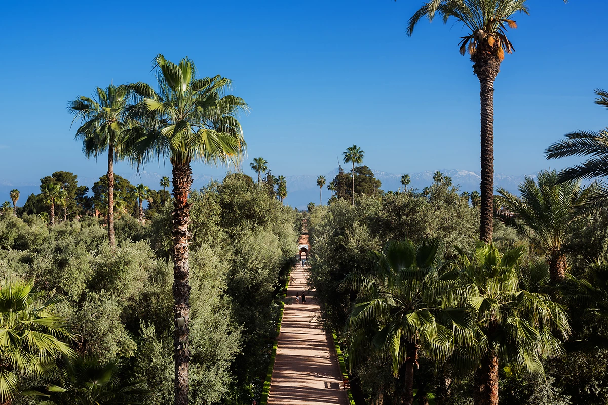 Jardins de l'hôtel, La Mamounia