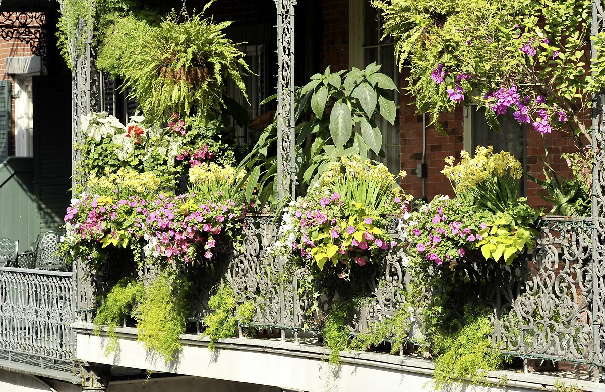 La Nouvelle-Orléans, Louisiane, États-Unis