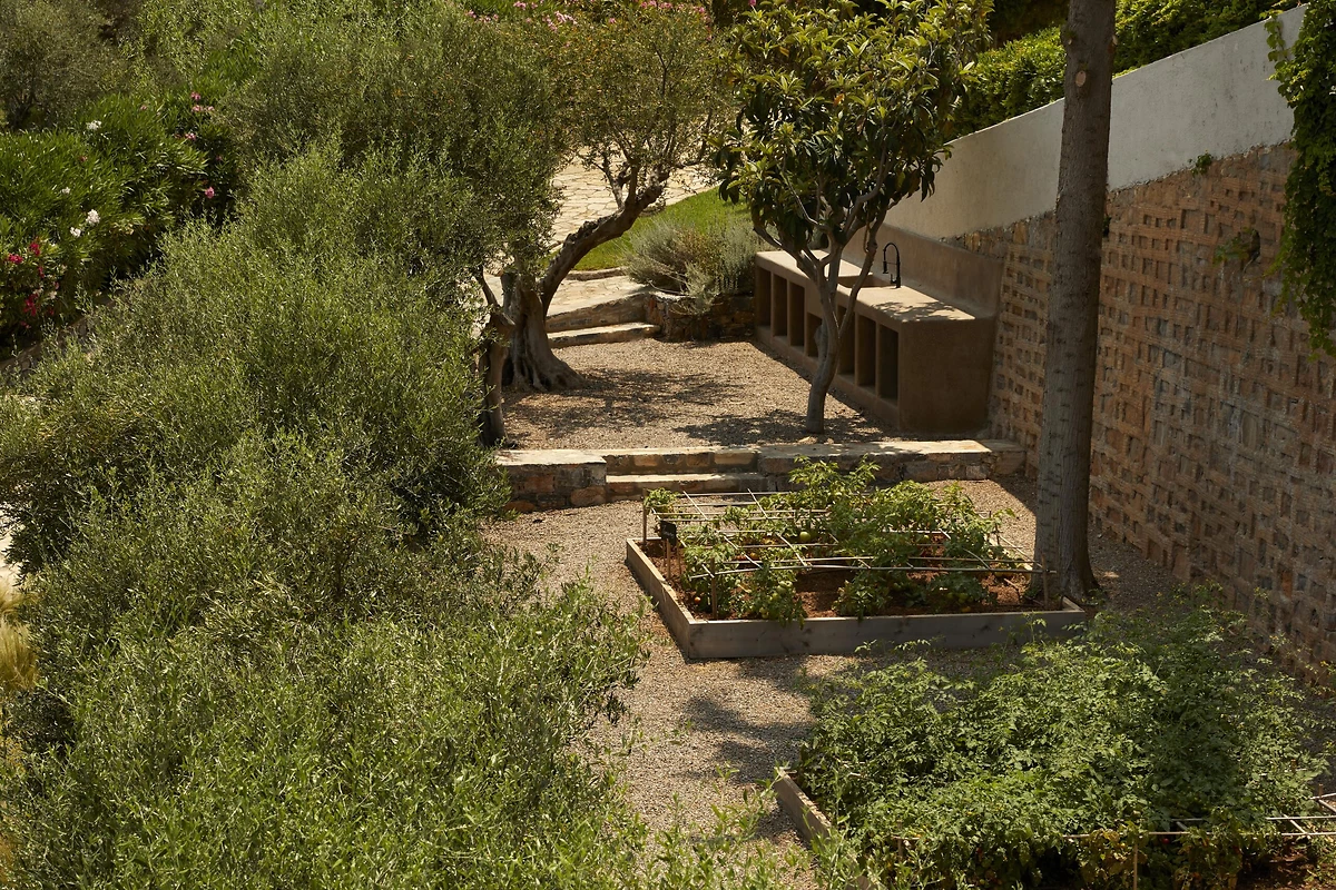 Potager de l'hôtel, Minos Palace Hotel & Suites, Crète, Grèce