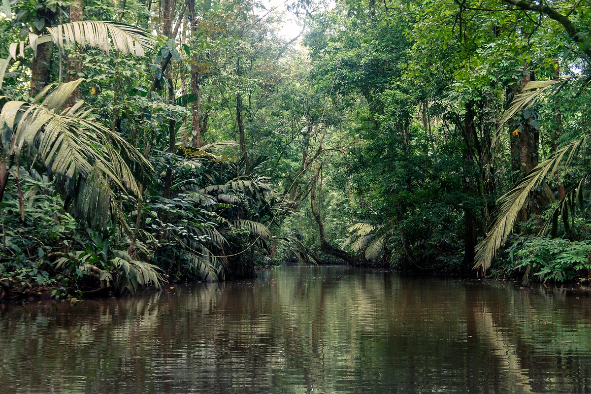 Parc National Tortuguero, Costa Rica