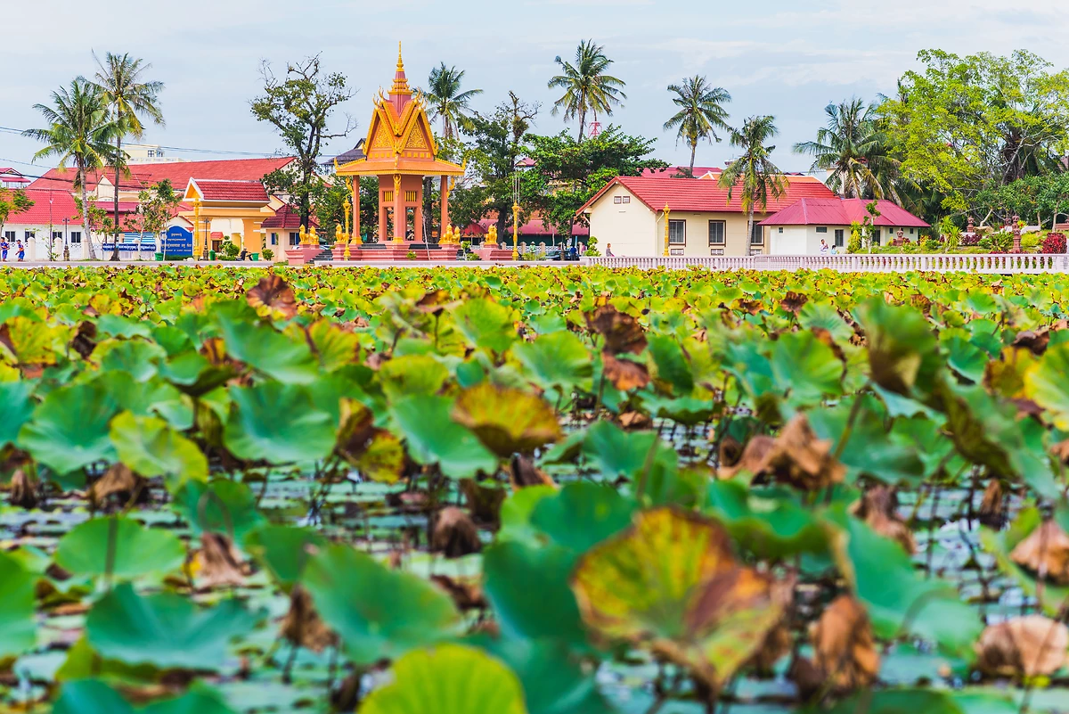 Étang de lotus, Kampot, Cambodge