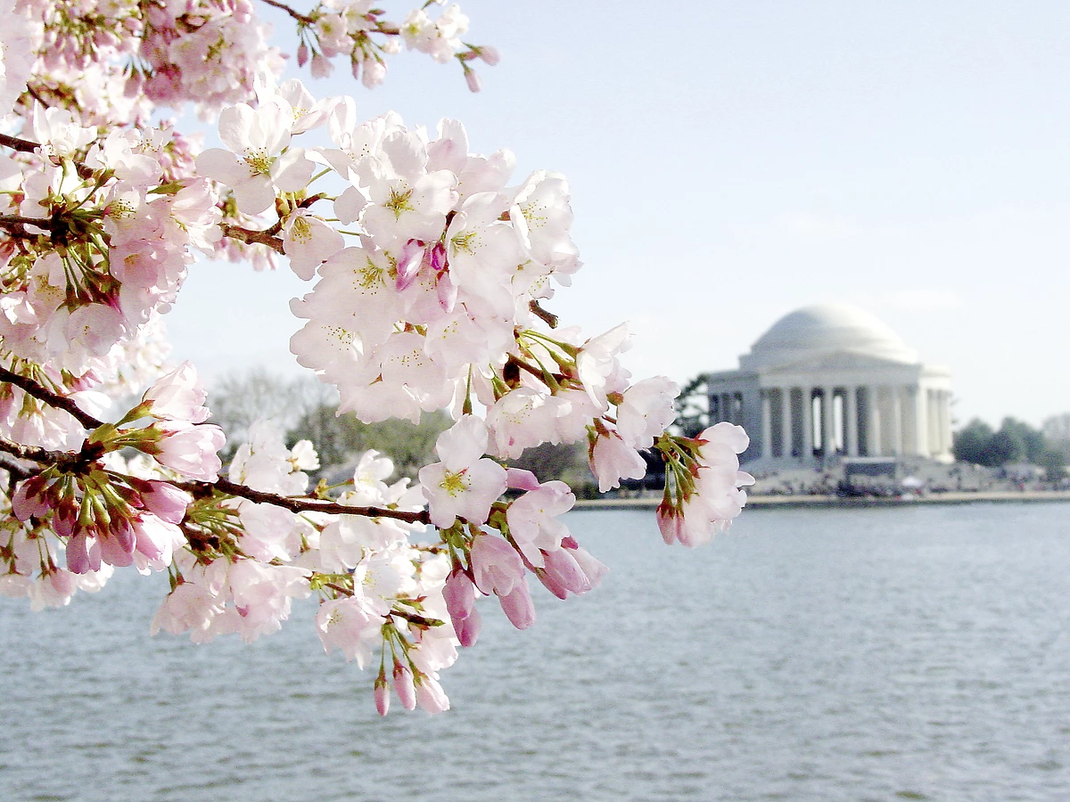 La Maison Blanche, Washington DC, Maryland, États-Unis