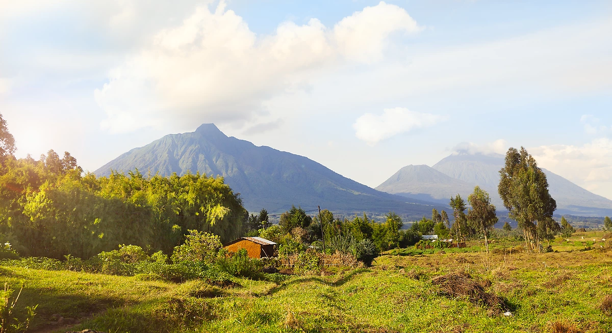 Montagnes des Virunga et des volcans, Rwanda