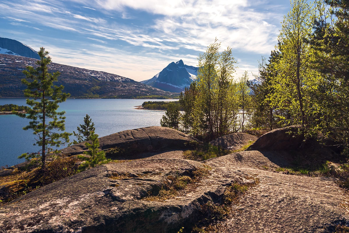 Paysage entre Fauske et Narvik, Norvège