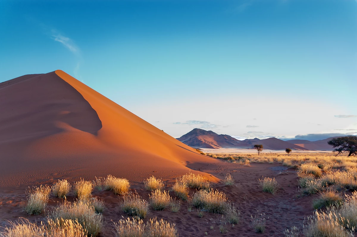 Dunes de Sossusvlei, Désert de Namib, Namibie