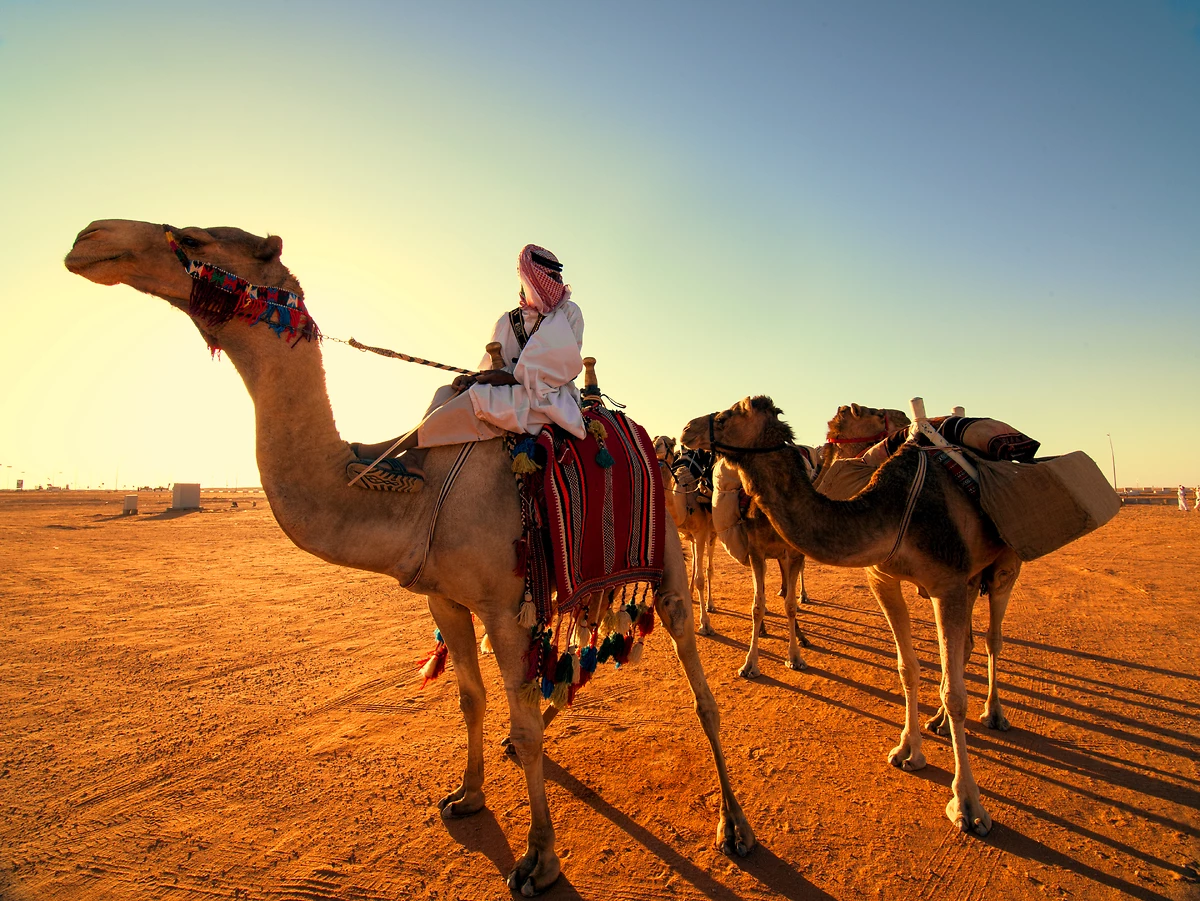 Désert, Arabie Saoudite