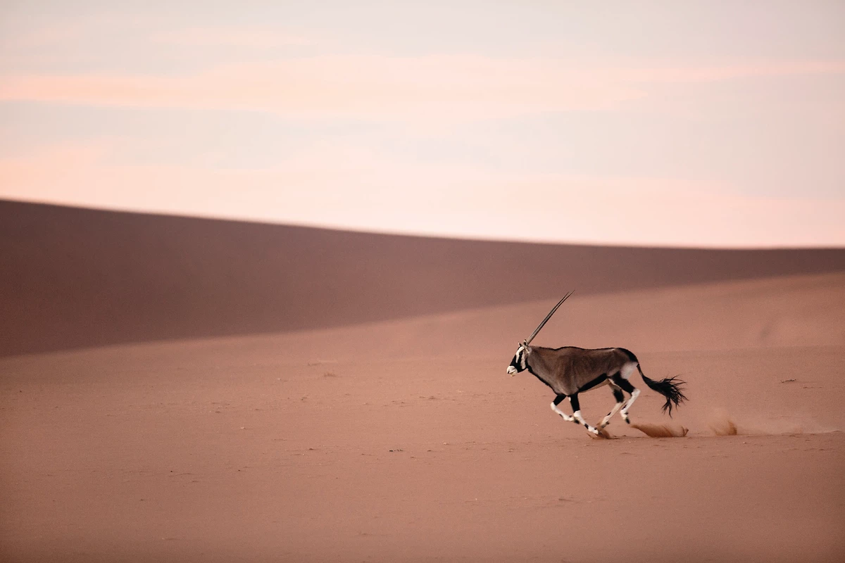 Namibie : Envolée namibienne