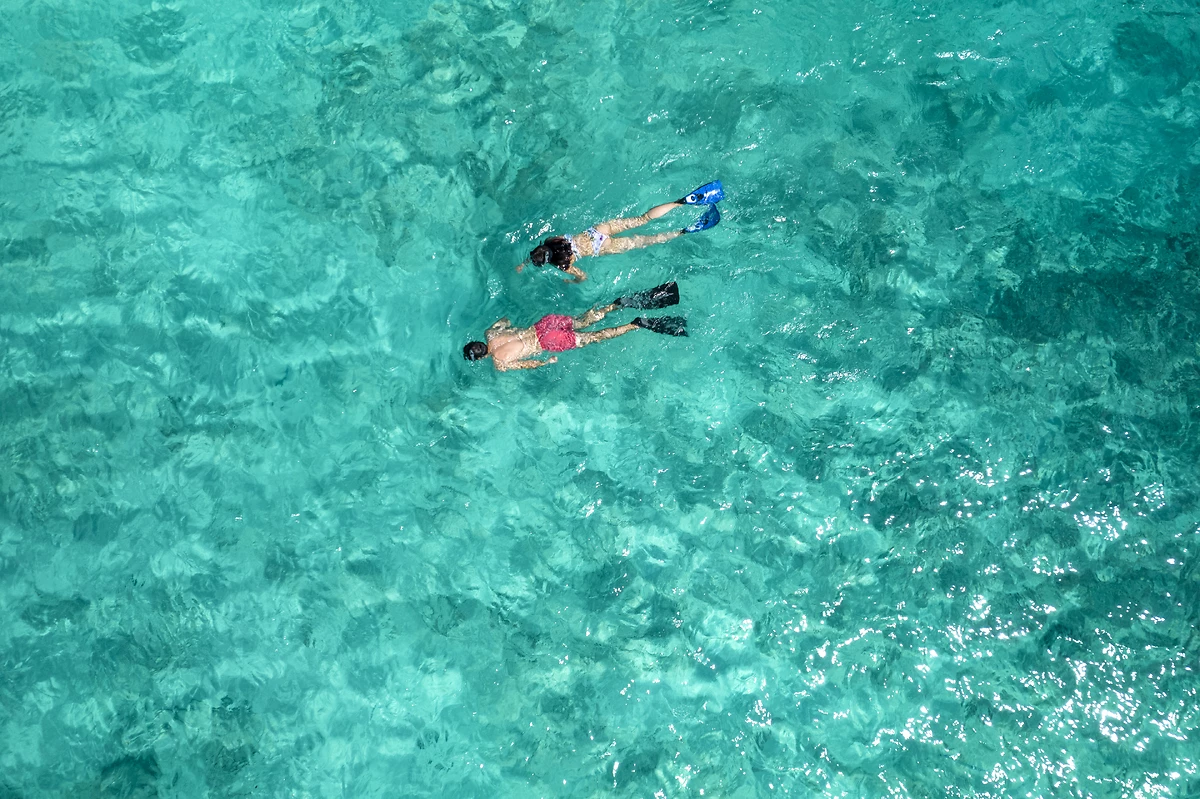 Plongée, North Island