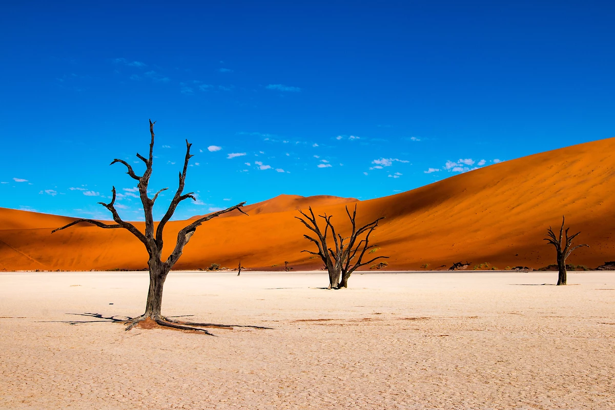 Parc national de Namib-Naukluft, Sossusvlei, Namibie