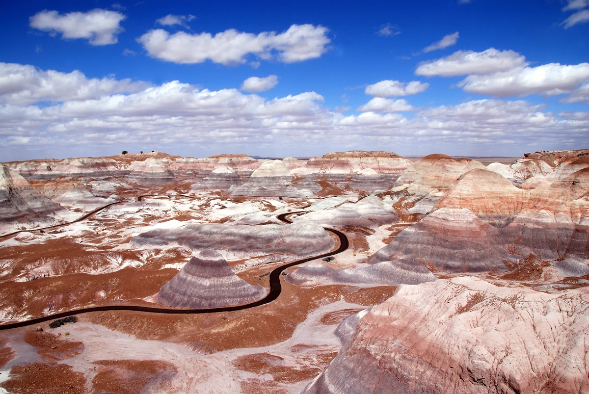 Parc national de Petrified Forest, Arizona