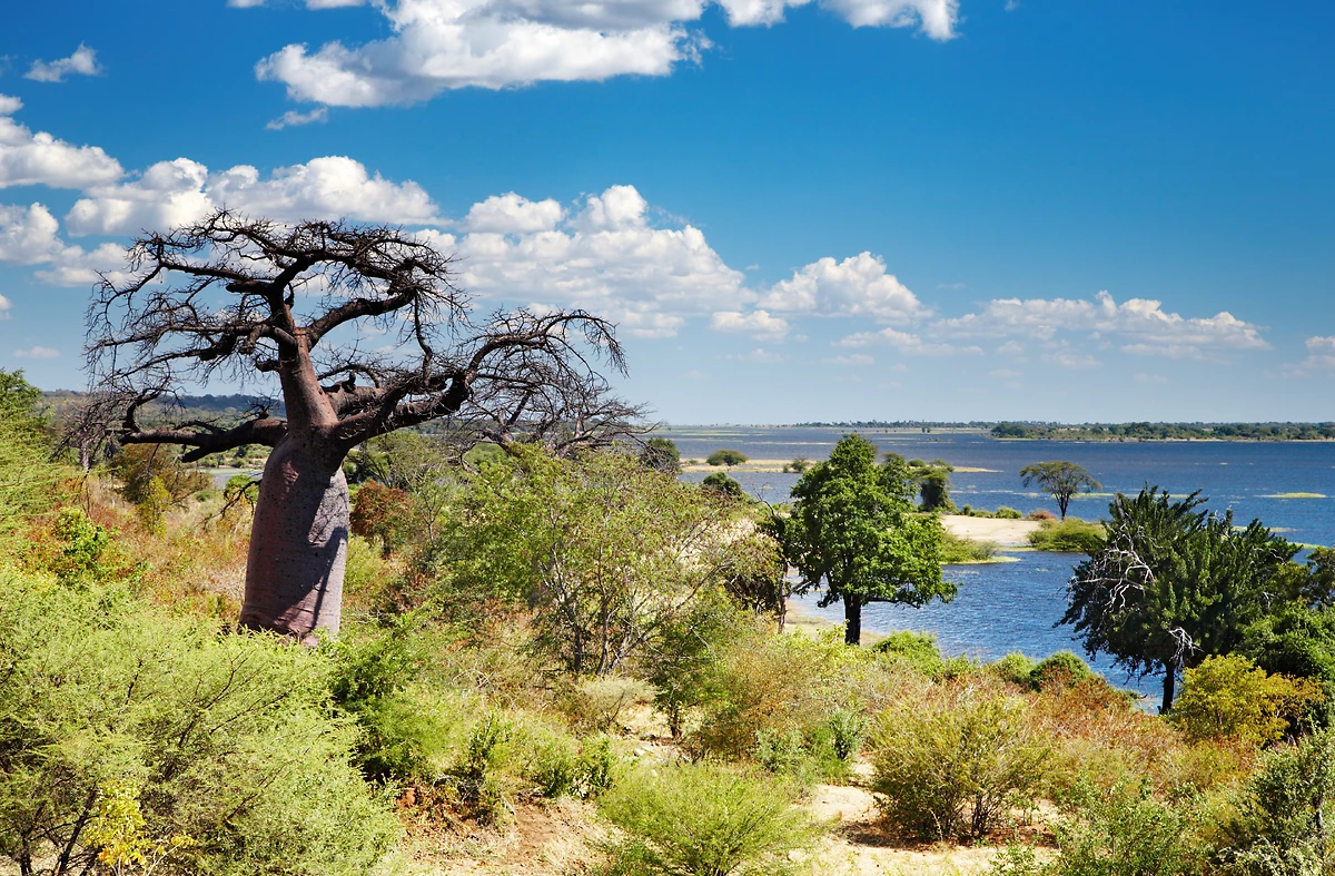 Fleuve Chobe, Botswana