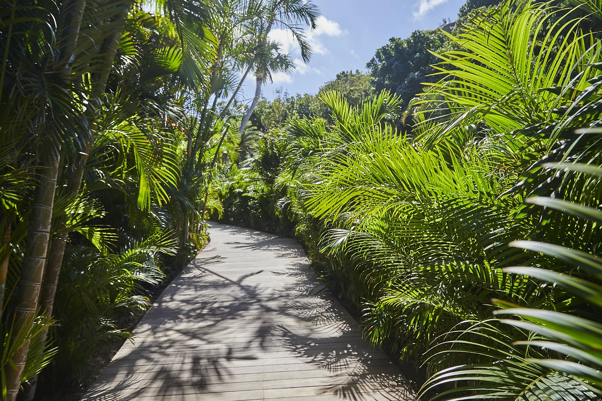 Jardins, hôtel Cheval Blanc St-Barth Isle de France