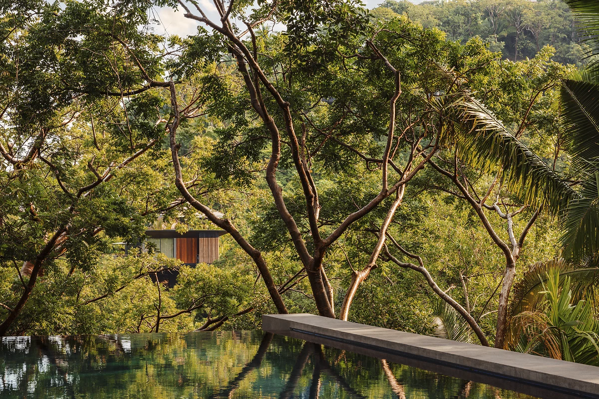 Piscine de l'hôtel, One&Only Mandarina