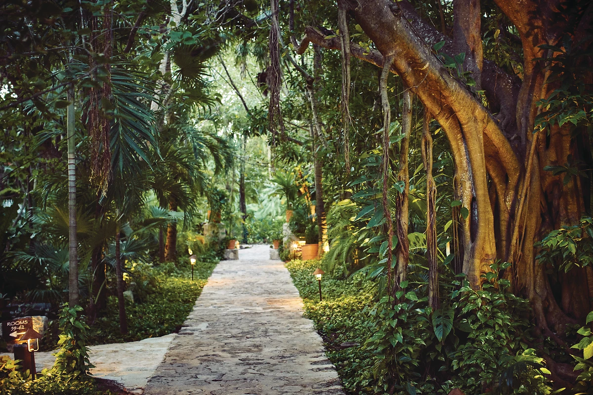 Allée et jardins, Maroma, a Belmond Hotel