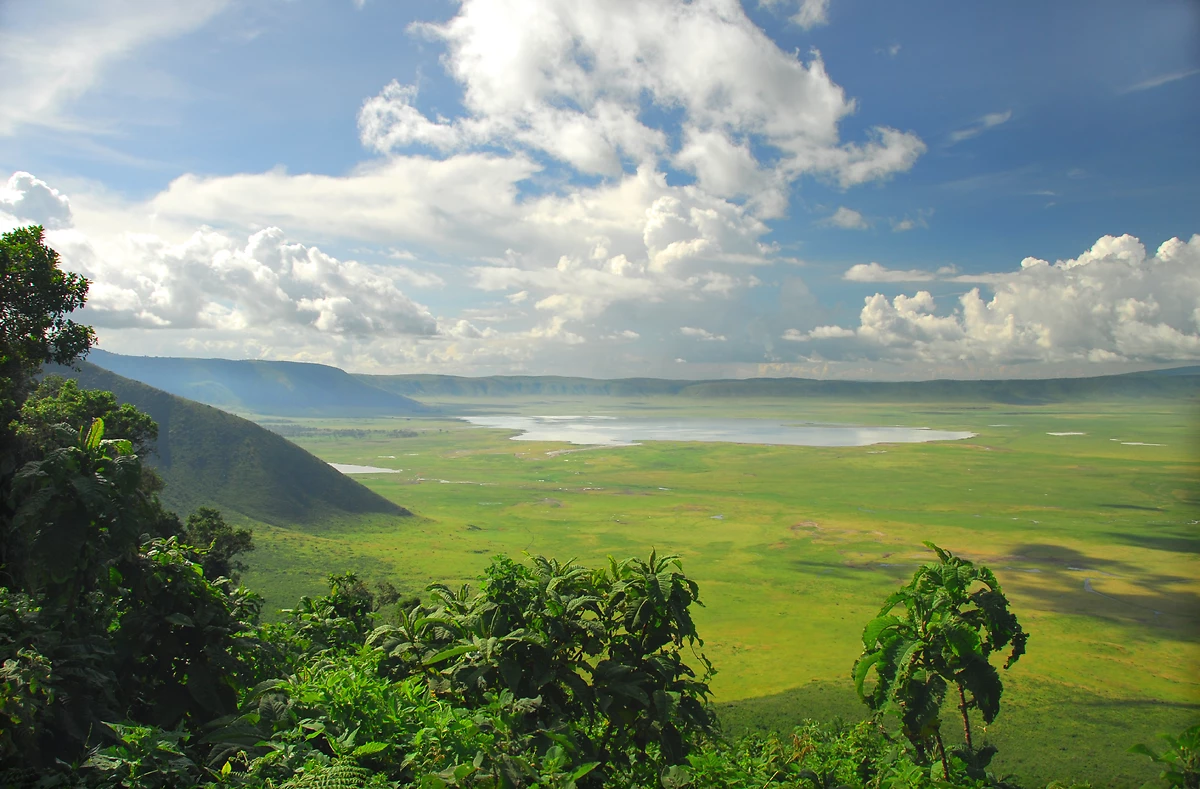 Cratère du N'Gorongoro, Tanzanie