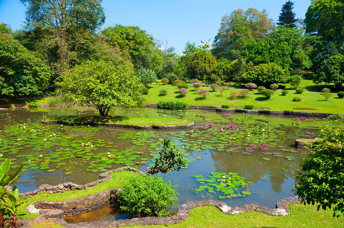 Jardin botanique de Peradeniya, Sri Lanka