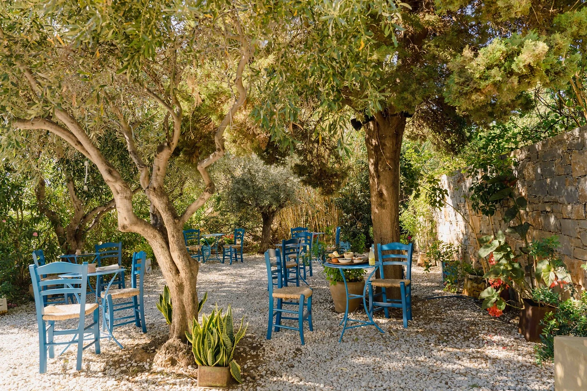 Kafeneio, Phaea Cretan Malia, Crète, Grèce