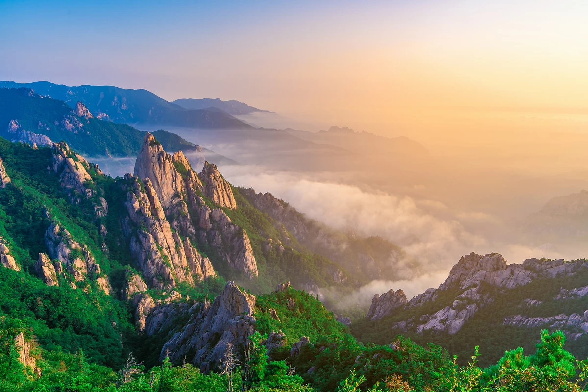 Corée du Sud : Au pays du matin calme