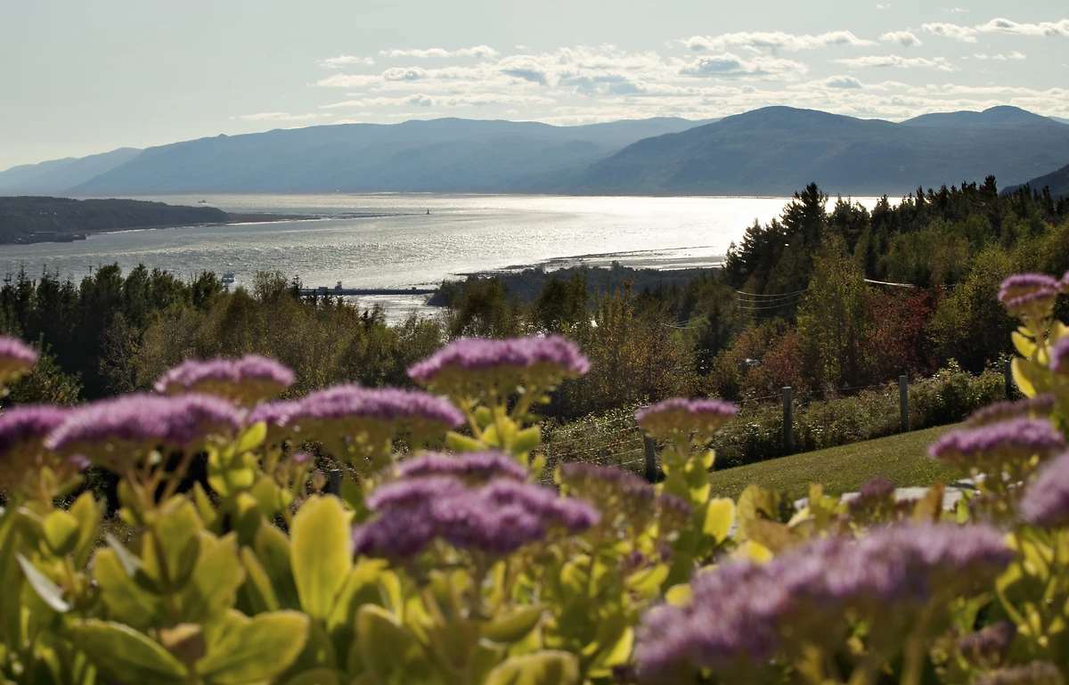 Vue sur le fleuve Saint-Laurent, près de Charlevoix