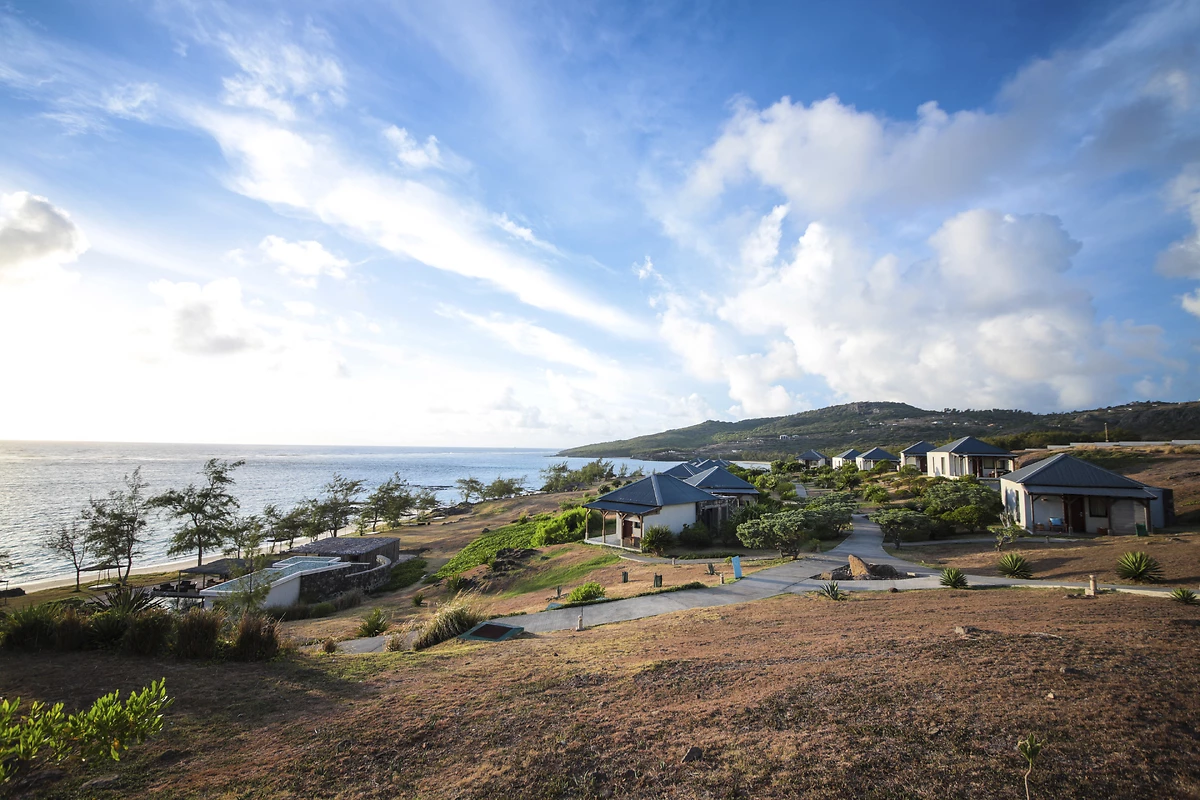 Rodrigues : Constance Tekoma Rodrigues