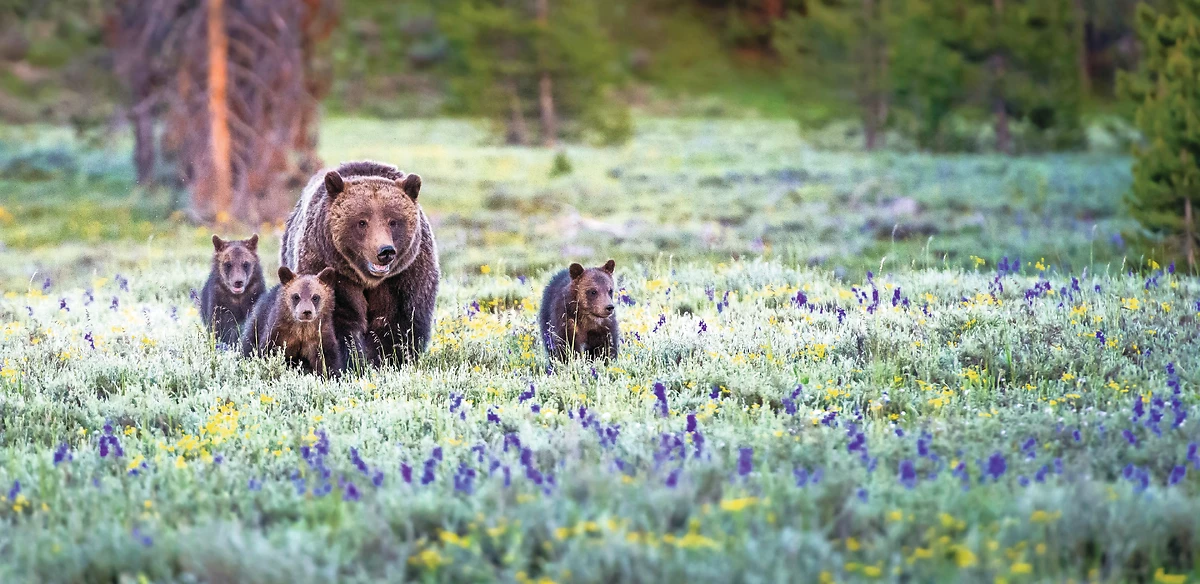 Canada : Canada Kids