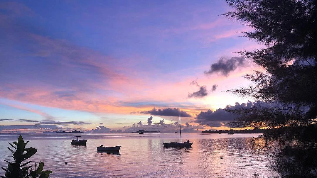Plage de l'hôtel, Palm Beach Hotel
