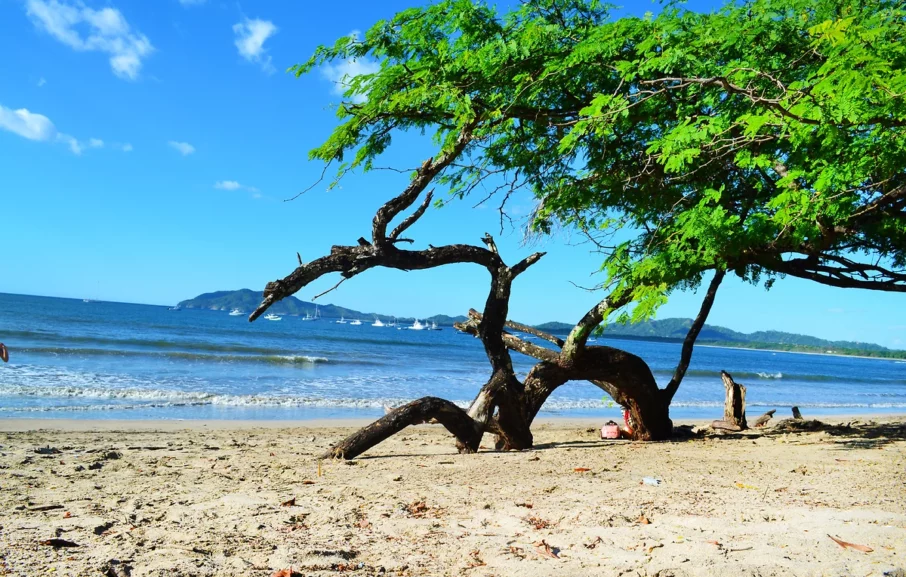 Occidental Tamarindo