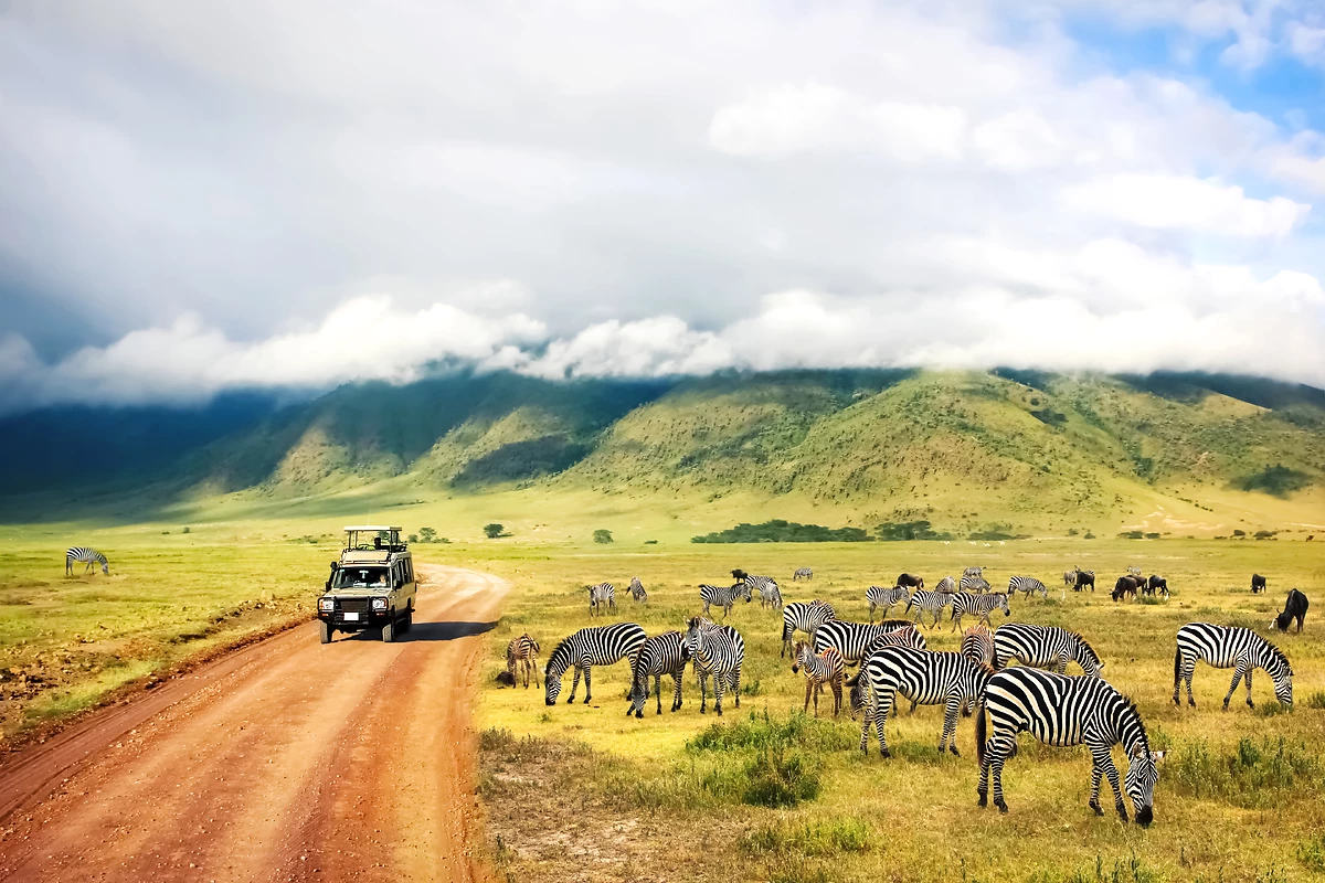 Tanzanie : Tanzanie grandeur nature en privé