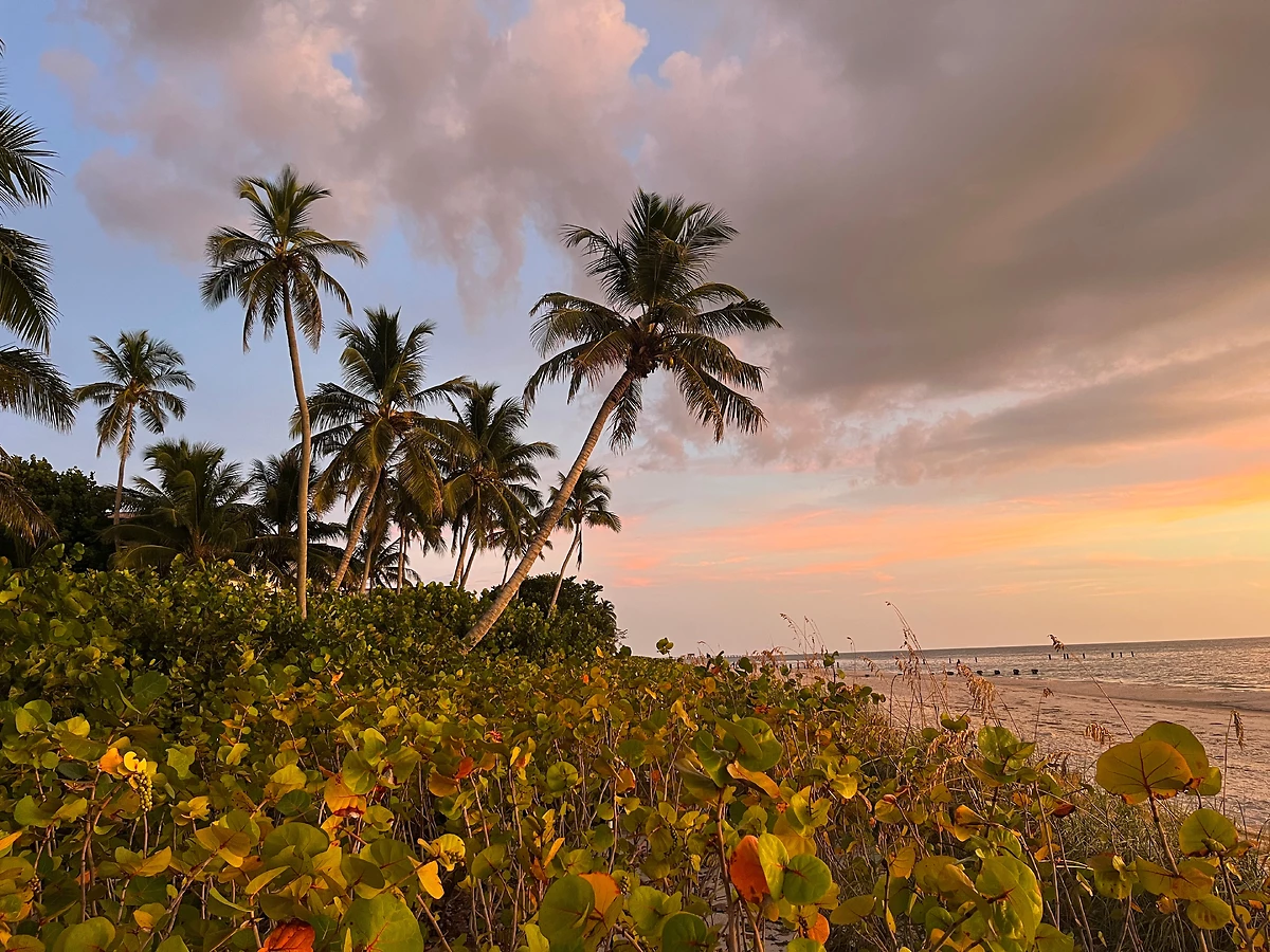 Floride : Best of Florida