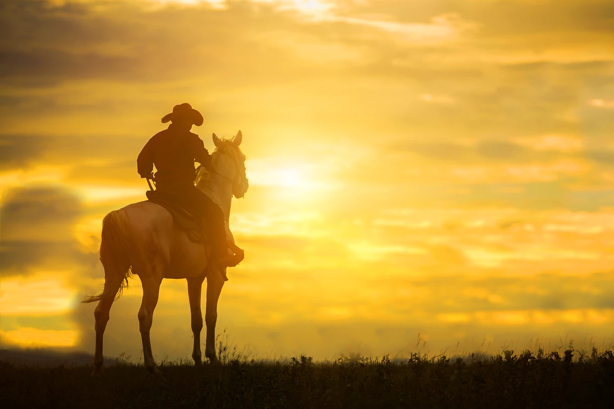 Cow-boy sur son cheval