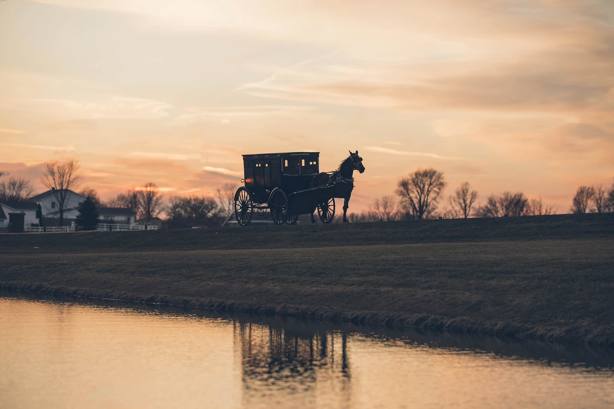 Buggy Amish, New York