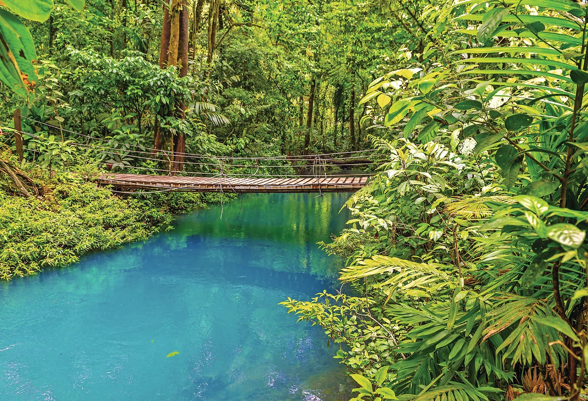 Rioceleste, parc national Tenorio
