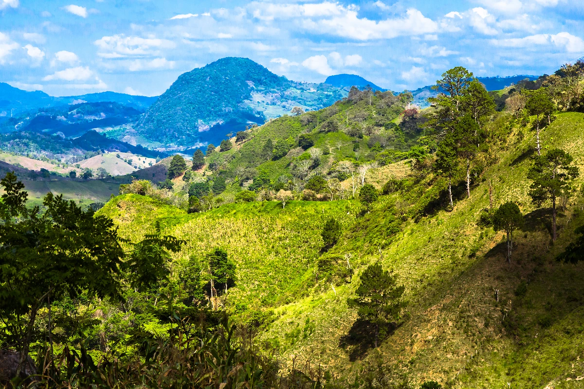 Forêt pluviale, Honduras