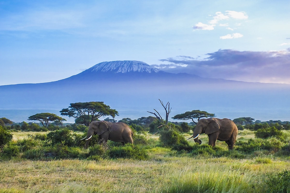 Kilimanjaro, Tanzanie