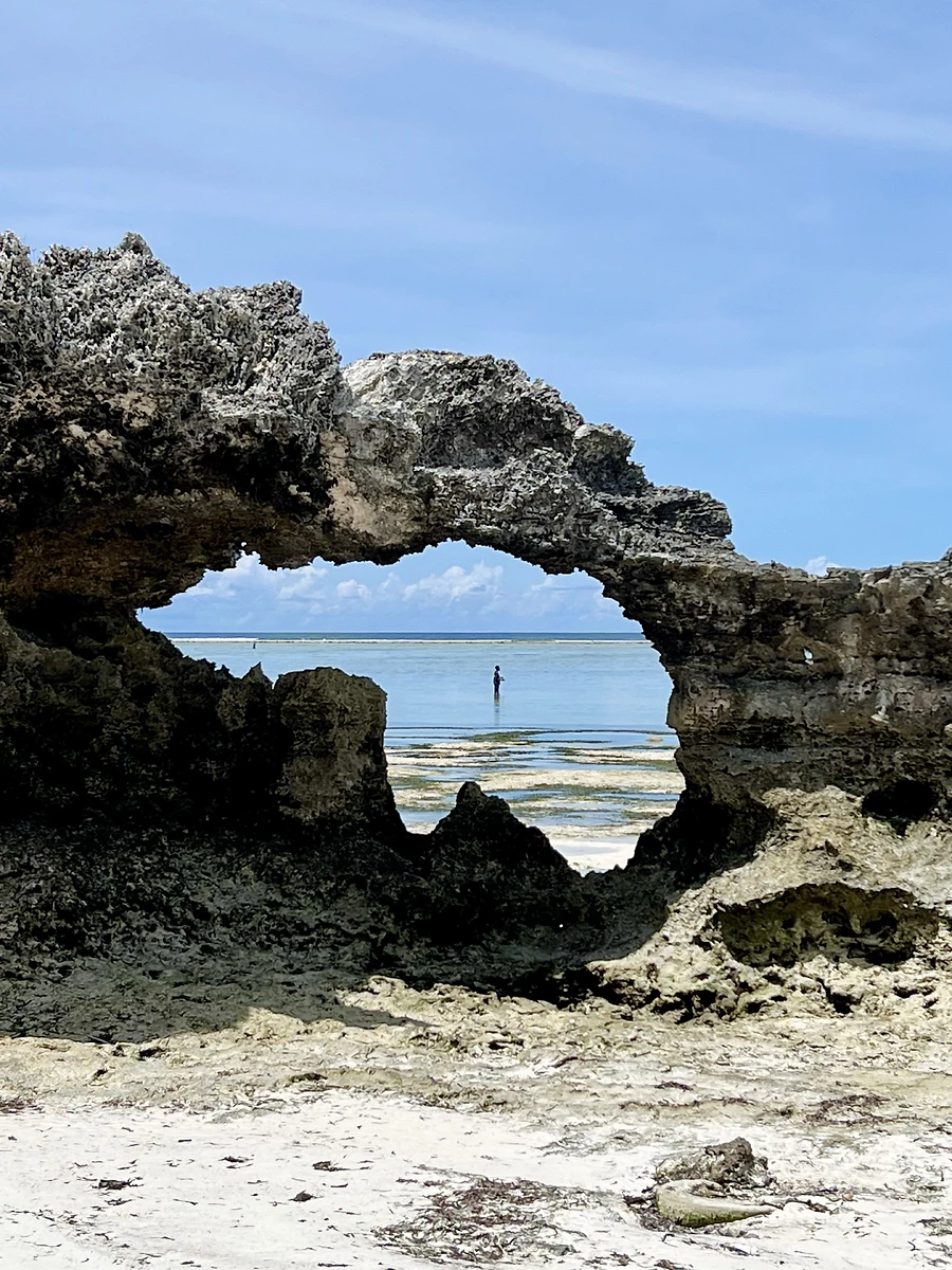 Plage, Matemwe Attitude, Zanzibar, Tanzanie