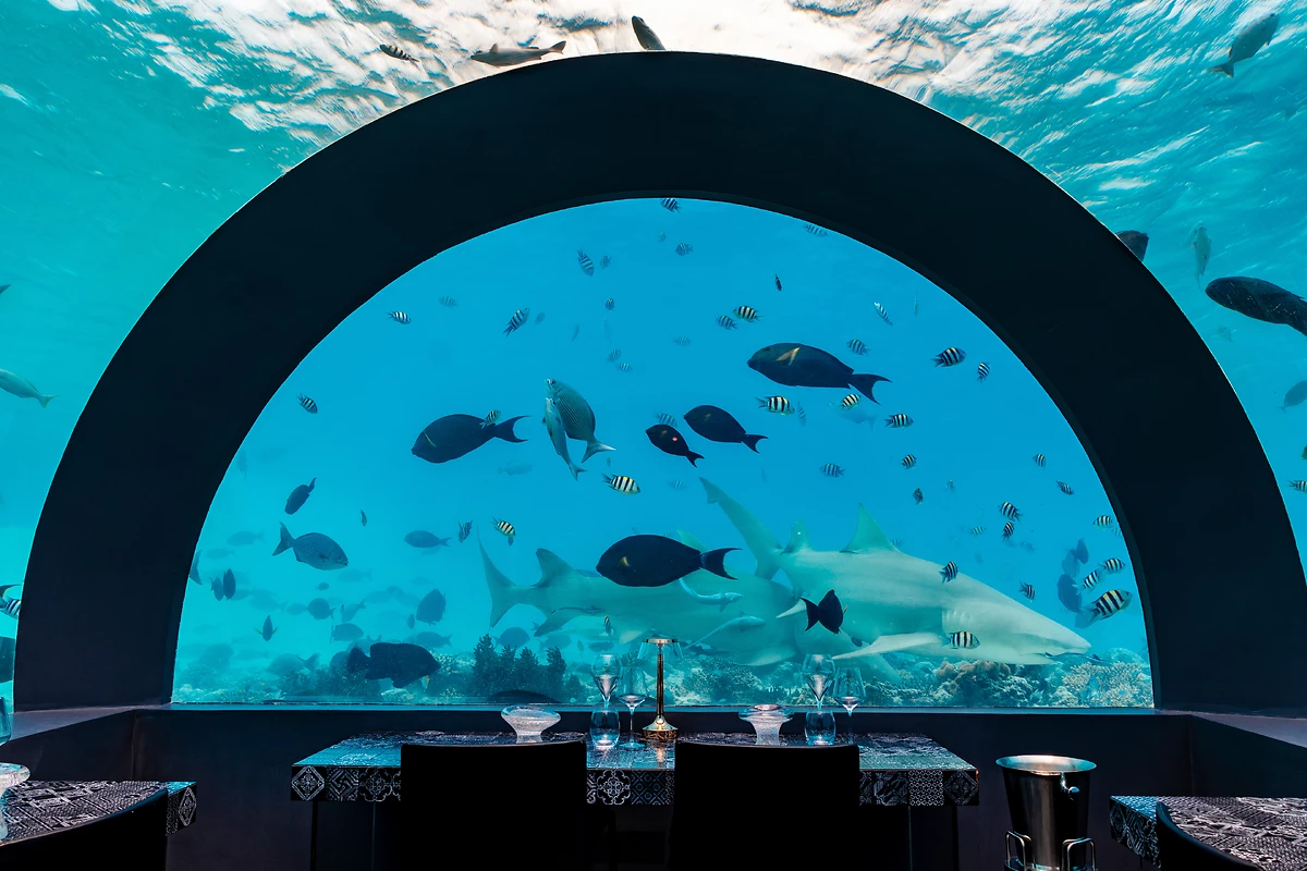 H2O Restaurant, You & Me Maldives, Atoll de Malé, Maldives