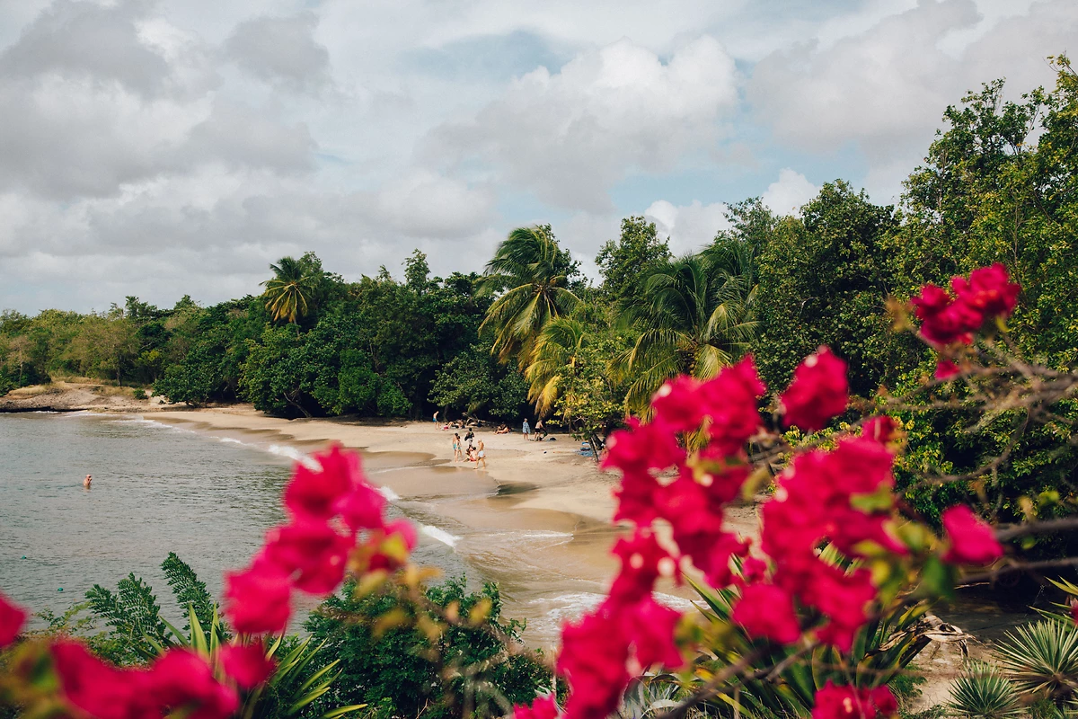 Plage, Pierre & Vacances Sainte-Luce, Martinique
