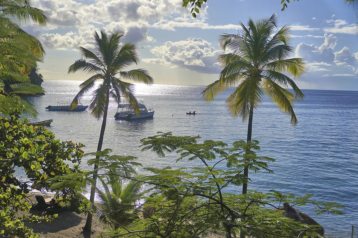 Vue sur la plage et la mer, Anse Chastanet, Sainte-Lucie, Antilles